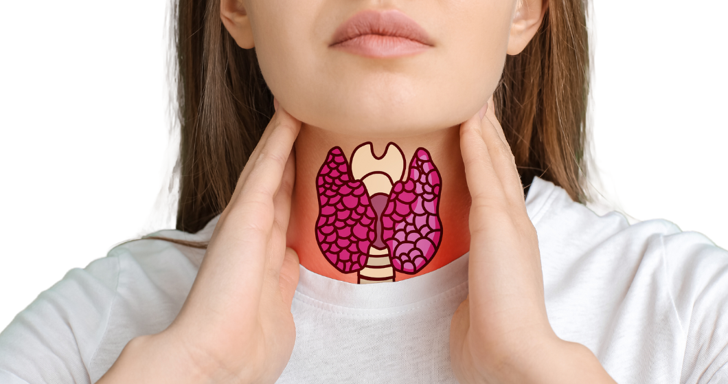 Thyroïde : Et si c'était votre glande papillon ?