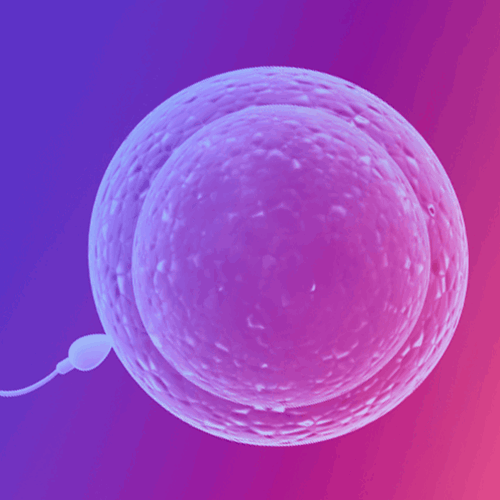 Eurofins Fertilité - Centre d'AMP Nice